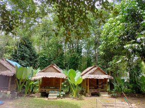 Khai Jungle Experience Camp & Tour